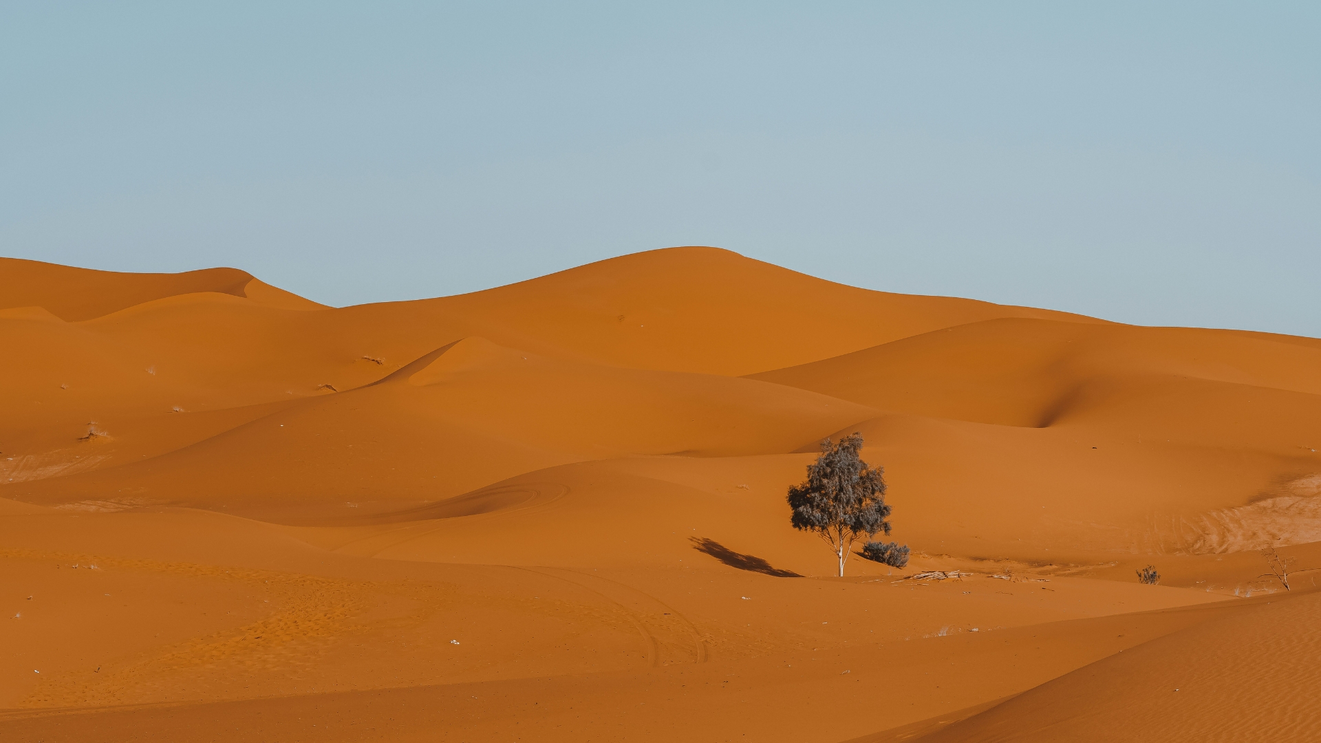 🌿 Coolcations: 5 verfrissende zomerbestemmingen voor wie de hitte wil vermijden